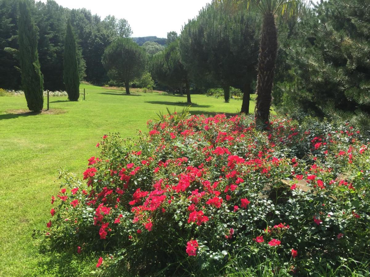 Villa Montana 게라즈베르겐 외부 사진