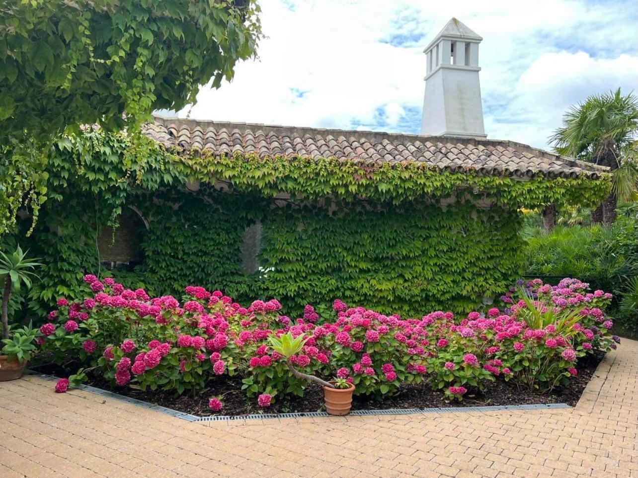Villa Montana 게라즈베르겐 외부 사진